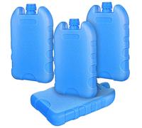 Cabilock 4 Pièces Bloc Réfrigérant Réutilisable Bleu PE pour Glacière | Température, Conservation des Aliments, Usage Maison, Design Unique, Facile à Transporter
