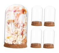 Cabilock 5pièces Cloche Verre pour Micro-Paysage Verre pour Fleurs Immortelles De Plantes