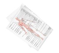 Cabilock Affiche Anatomie Humaine Image Squelette Pédagogique Peinture Structure Du Corps Affiche Anatomie Corps Humain Image Muscles Enseignement