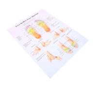 Cabilock Affiche Murale de Réflexologie Plantaire Poster Éducatif pour Outil pour Comprendre Massage Interconnexion Du Corps