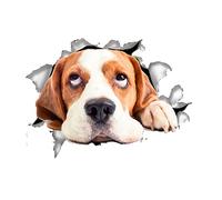Cabilock Autocollant Siège De Toilette Pour Chien Décoration Murale Amusante Pvc Amovible Pour Salle De Bain Design Animaux Mignons