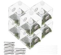 Cabilock Boîte à Insectes pour Araignées Sauteuses Trous de Ventilation, Boîte D'élevage Pratique en Acrylique, Lot de 2 Sets de Sets pour Petits Reptiles et Grillons