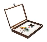 Cabilock Boîte à Spécimens Bois Style Rétro avec Couvercle Transparent pour et Protection Insectes Vitrine Observation Entomologiste Robuste pour Collection et Exposition