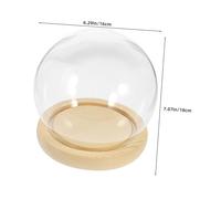 Cabilock Cloche Ronde Verre avec Base Cloche Verre Transparente Stabilisées pour Exposition
