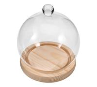 Cabilock Cloche Verre Transparent avec Socle pour Fleurs Stabilisées et Décorations Créatives