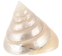 Cabilock Décoration de Conque Naturelle Beige en Coquillage pour Bricolage DIY et Décoration de Bureau, Portable et Agréable Toucher