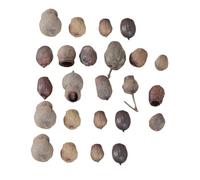 Cabilock Décorations de Noël en Fruits Secs Naturelles 24 Pièces, Accessoires pour Couronnes et Cadres Photo, Bricolage DIY, Taille Aléatoire, Décoration Festive pour Sapin et Maison