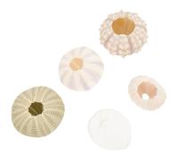 Cabilock Décorations D'oursins en Coquillage Ambiance Unique 5 Pièces pour Aquarium Plusieurs Styles Bords Lisses pour Décoration de Fish Tank Intérieure