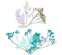Cabilock Fleurs Séchées Naturelles pour Bricolage DIY Assortiment de Feuilles et Fleurs Pressées Matériel Artisanal pour Décoration Intérieure Création de Cadres Photo Saint-Valentin