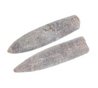 Cabilock Lot de 2 Spécimens de Bélemnite Naturelle pour Éducation Décoration Pédagogique Fossiles de Paléontologie Taille Pratique