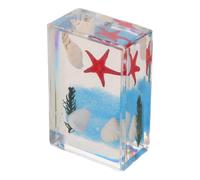 Cabilock Marin en Acrylique, Coquille Modèle Éducatif pour Écoles | Résistant à Décoloration et Poussière, Cartes D'espèces Bilingues, pour Musées, Âges