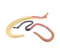 Cabilock Modèle Anatomique de Schistosome Hermaphrodite Démontable pour Enseignement Biologique Aide Pédagogique Détaillée Surface Lisse et Adapté Aux Salles de Classe et Recherches