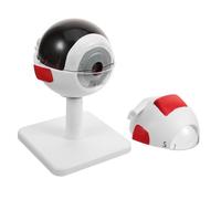 Cabilock Modèle Anatomique Oculaire Agrandi pour Études Médicales et Enseignement Structure Détailée de Lœil avec Choroïde Portable et pour Formation Scientifique