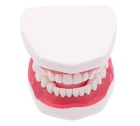 Cabilock Modèle d'enseignement oral fausses dents fausse bouche modèle de typodonte typodont model for PVC