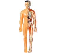 Cabilock modèle d'organe humain modèle de corps humain pour les enfants kit de dissection pour enfants modèle d'anatomie humaine jouets d'anatomie pour enfants Plastique