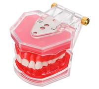 Cabilock Modèle Pédagogique Amovible en Résine Modèle de Dents Implantables Réaliste Outil D’Entraînement pour Brossage et Démonstration pour Formation Bucco- en École et Centre Médical