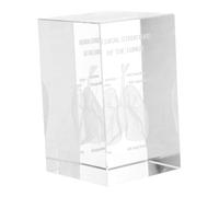 Cabilock Ornements Sculptés en Cristal Presse-Papier en Cristal pour Humain Figurine De Structure Cérébrale Modèle Anatomique des Poumons Modèle Éducatif Transparent