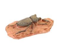 Cabilock Paléontologique d'Insecte en Résine pour Décoration Enseignement et Collection Ornement Scientifique Polyvalent