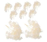 Cabilock Pétales D'Hortensia Immortels Pétales De Fleurs pour Décoration De Mariage Arrangement Floral Décoration De Fleurs Séchées Séchées