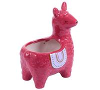 Cabilock Pot De Fleurs Céramique Pot Créatif Et Original pour Plantes Cactus Décoration Moderne Et Vivante pour Votre Espace De Vie