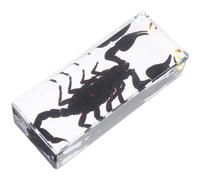 Cabilock Presse-papiers Résine Acrylique Transparent avec Spécimen de Scorpion Préservé Décoration Bureau Maison Objet Scientifique Éducatif avec Détails Réalistes et Haute Clarté