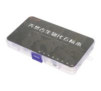 Cabilock Spécimens Fossiles Trilobites en Lot de 15 Set, Pierres Irrégulières Naturelles en Ambre, Matériel Pédagogique Scientifique pour Décor de Bureau et Enseignement des Sciences