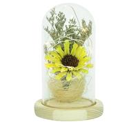 Cabilock Tournesol Décoratif en Verre sous Cloche LED Décoration Intérieure Jaune Objet Rétro pour Bureau et Chambre Présent Fête des Mères et Saint-Valentin Ornement Artisanal Élégant