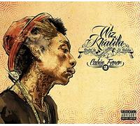 Cabin Fever 2