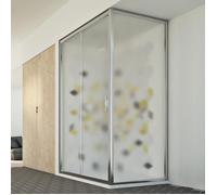 Cabine douche 80x100 CM H198 mod. Young Duo 1 Porte Opaque