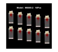 Cabinet Dentaire Endodontique,Canal Radiculaire,Cavit? De Pulpe,Mod?Le De Dents Rct,Bloc D'entra?Nement,?Tude,D?Monstration Du Fonctionnement Des Fichiers - Type 10pcs M8005-2