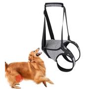 Câblage de levage arrière de chien - Ceinture auxiliaire pour chien avec sangle de poignée, harnais pour chien senior, support pour les jambes arrière du chien, aide à la marche pour un