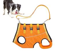 Câblage De Levage De Chien - Support Pour Animaux De Compagnie Blessé, Sangle De Jambes Réglable | Pour La Mobilité Des Chiens Senior Confortables, Gilet De Poignée Durable, Sangle De