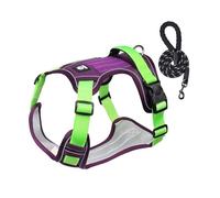 Câblage de marche pour chien - Ensemble de harnais de chien léger, harnais de chien réfléchissant confortable Harnais de chien réglable - harnais pour chien, collier ensemble avec REM