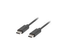 Câble USB 2.0 Type-C Lanberg M/M 1 m Noir