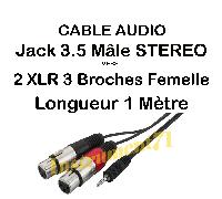 Câble 2 XLR 3 Broches Femelle vers Jack 3.5 Mâle STEREO longueur 1 Métre