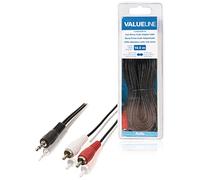 Câble Adaptateur Audio Jack 3,5 mm stéréo mâle vers 2X RCA mâles 10,0 m Noir