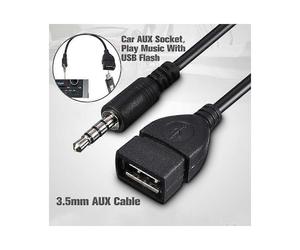 Câble adaptateur convertisseur TEMPSA 35 mm mâle vers USB 20 A femelle