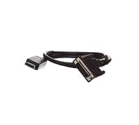 Câble adaptateur DisplayPort 1.2 type CLASSIC AK-340301-010-S