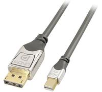 Câble adaptateur LINDY Mini-Display / DisplayPort Fiche mâle Mini DisplayPort, Fiche mâle DisplayPort 0.50 m gris 36310 Câble DisplayPort
