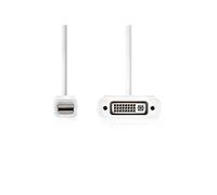 - Câble adaptateur - Mini DisplayPort (M) pour DVI-D (F) - 20 cm - support 1080p - blanc