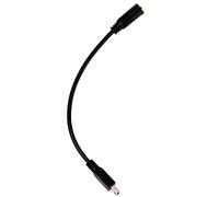 Câble Adaptateur Mini USB vers Microphone 3,5 Mm Convertisseur de Prise Audio Micro Externe avec Conception Plug and Play pour Appareil Photo Hero3 Hero3 + Hero4 et