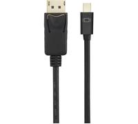 Câble adaptateur Renkforce Mini-Display / DisplayPort Fiche mâle Mini DisplayPort, Fiche mâle DisplayPort 3.00 m noir RF-4538178 contacts dorés Câble