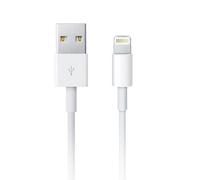 Apple Câble Lightning - Lightning mâle pour USB mâle - 1 m