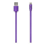 WE - Câble Lightning - Lightning mâle pour USB mâle - 1 m - violet - plat