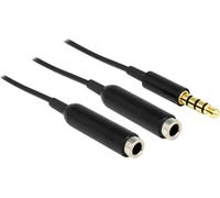 Câble audio Delock 65575 [1x Jack mâle 3.5 mm - 2x Jack femelle 3.5 mm] 25.00 cm noir