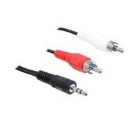 - Câble audio - mini-phone stereo 3.5 mm mâle pour RCA x 2 mâle - 3 m - noir