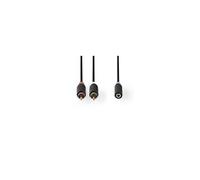 Câble audio stéréo 2x rca mâles - 3,5 mm femelle 0,2 m anthracite