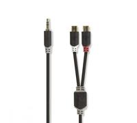 Câble Audio Stéréo 3,5 mm Mâle - 2x RCA Femelles 0,2 m Anthracite