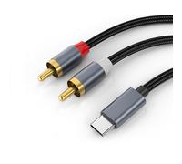 INF Câble audio stéréo USB-C vers 2x RCA Gris