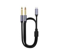 Câble audio Type-C vers double 6,5 mm (Numérique) - Connectez vos appareils avec une qualité sonore supérieure 2 m